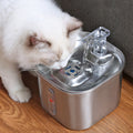 Fontaine à eau pour chat