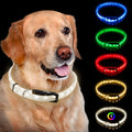 Collier LED rechargeable pour chien