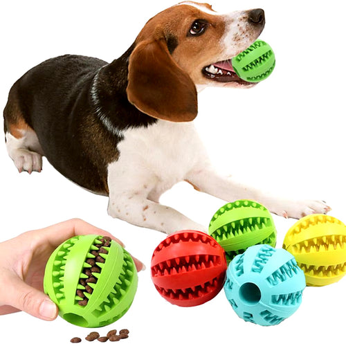 Balle distributrice de friandises pour chien