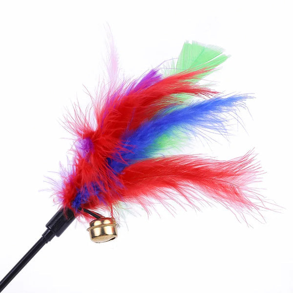 Canne à pêche à plumes pour chat