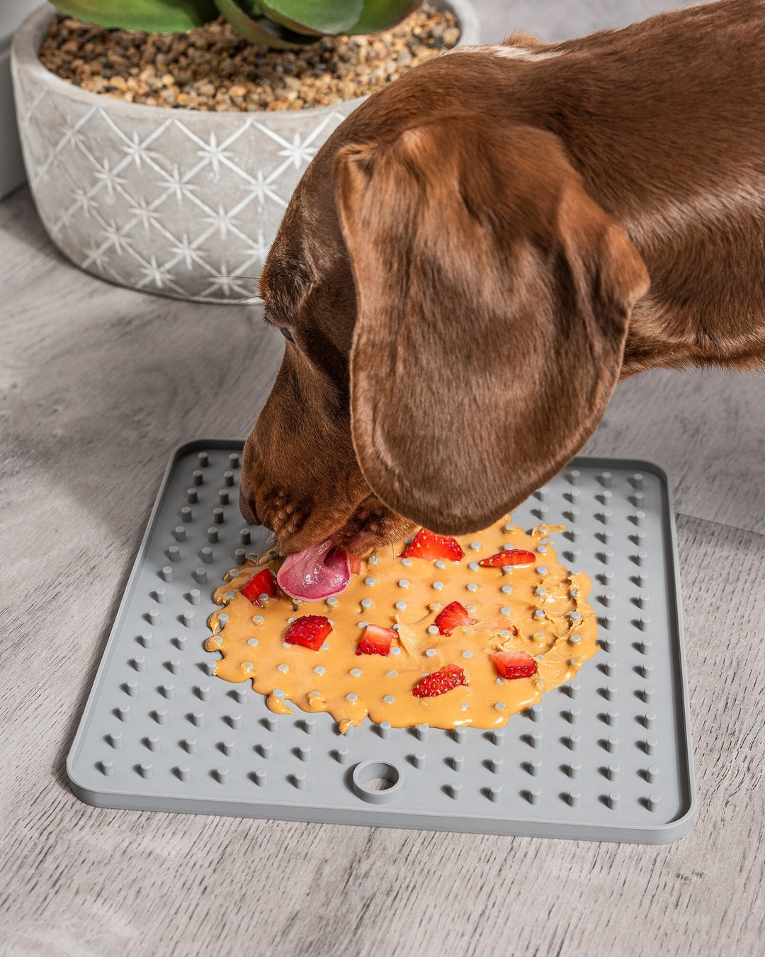 Tapis de léchage pour chien