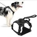 Harnais anti-traction réglable pour chien