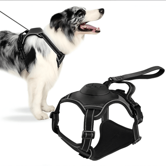 Harnais anti-traction réglable pour chien